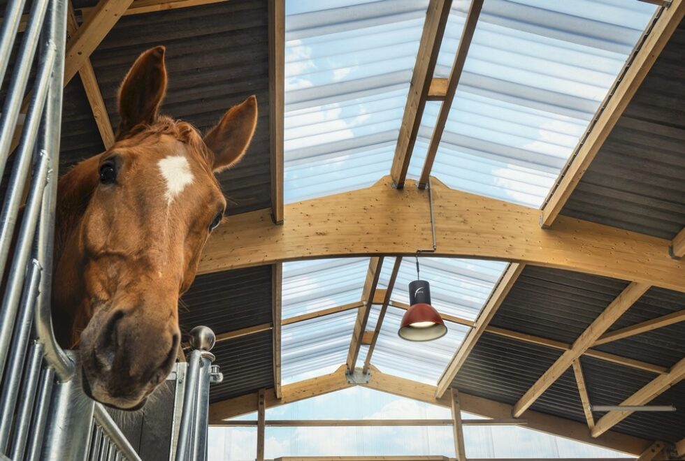 luminaire equestre helios jlighting